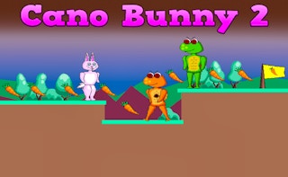 Image Cano Bunny 2