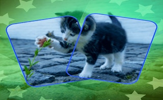 Image Cat Puzzle Memory Match