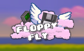Image Floppy Fly