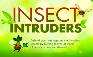 Image Insect Intruders